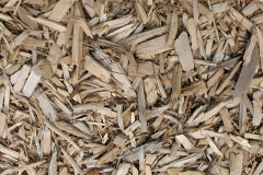 biomass boilers Llanveynoe