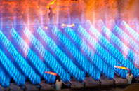 Llanveynoe gas fired boilers